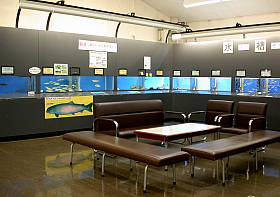 Education Display Room