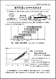 「豊平川産サケの大きさ」の資料の画像