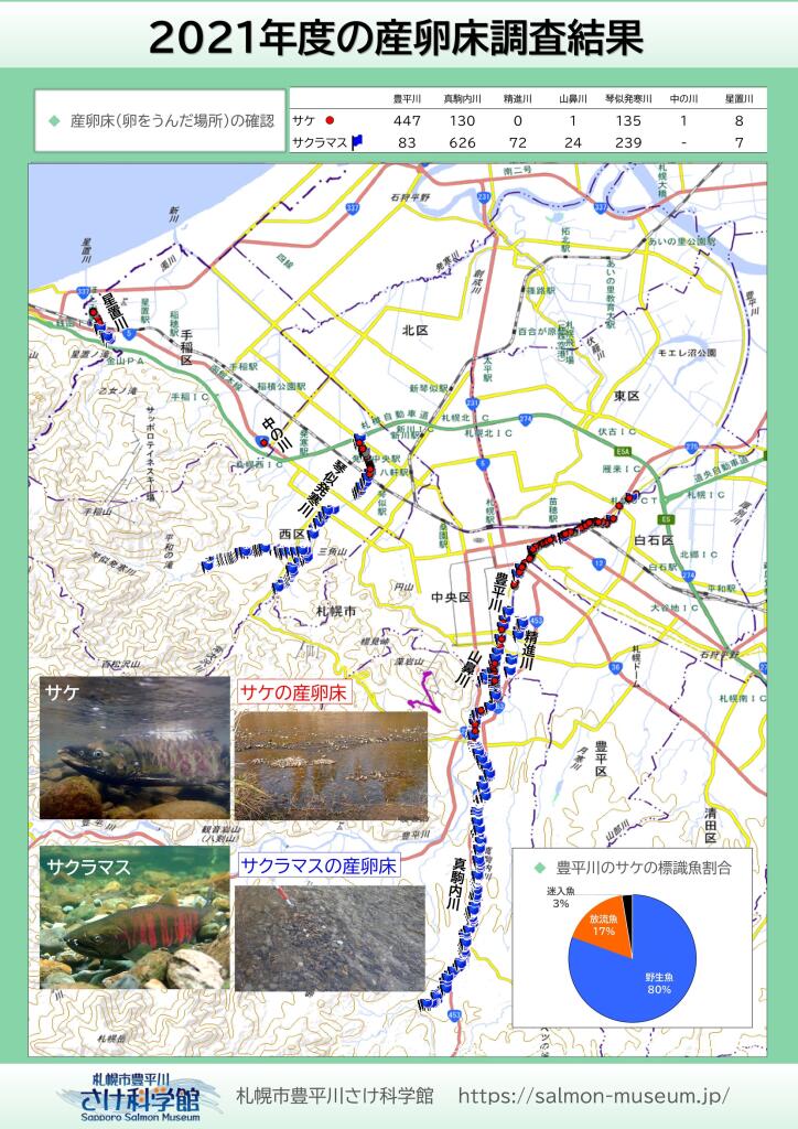 2021年度札幌市内サケとサクラマス分布図