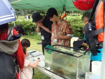 真駒内川の生きもの観察