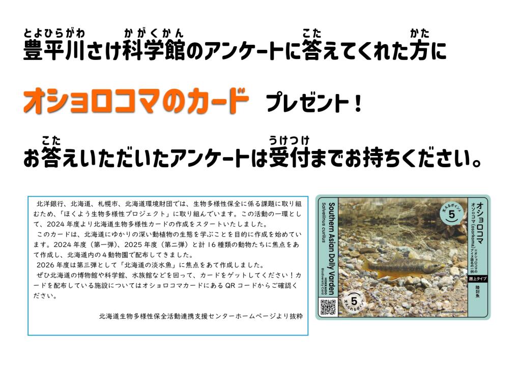 北海道生物多様性カード【オショロコマ】配布のイメージ